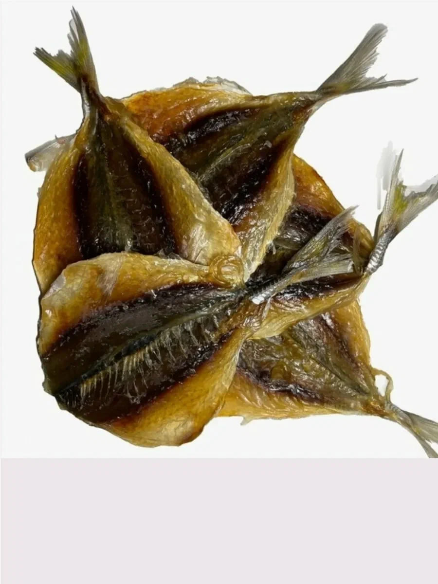 ხელიქვილიანი გრძელმათი სვირა